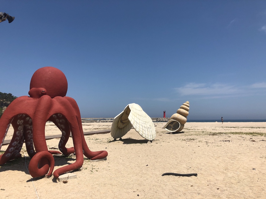 아침해변바베큐 이미지
