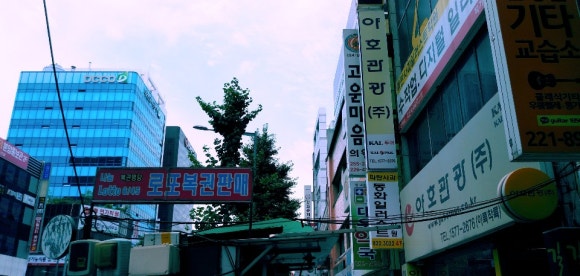 야호관광 이미지
