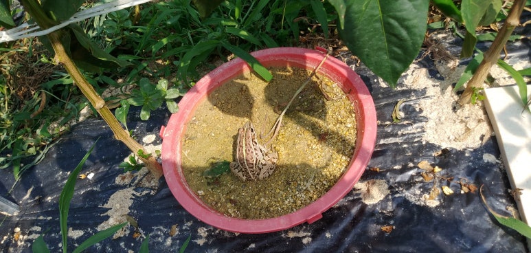 청다방 이미지