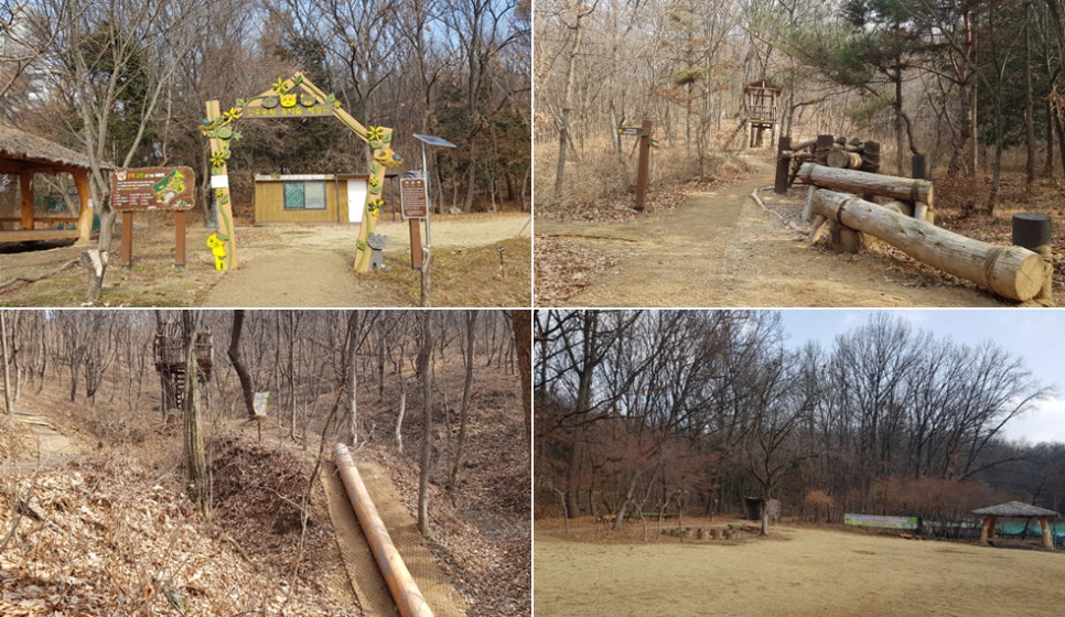 피노키오 유아숲체험원 이미지