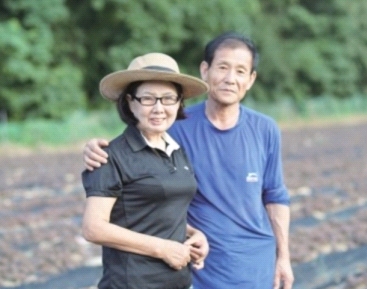 해동와송 이미지