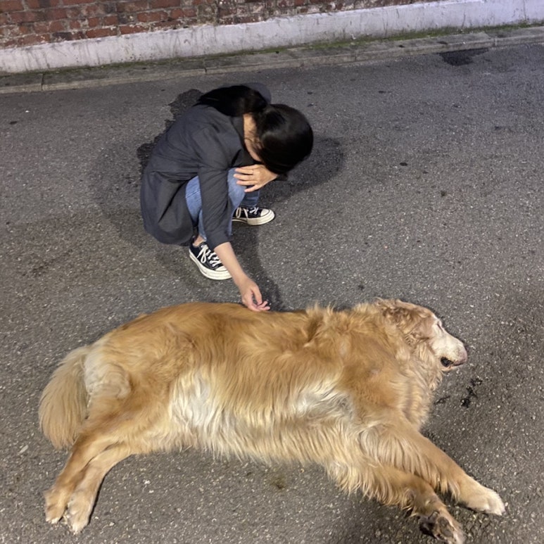 폼프리츠 이미지