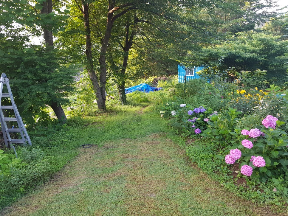 너른마당민박 이미지