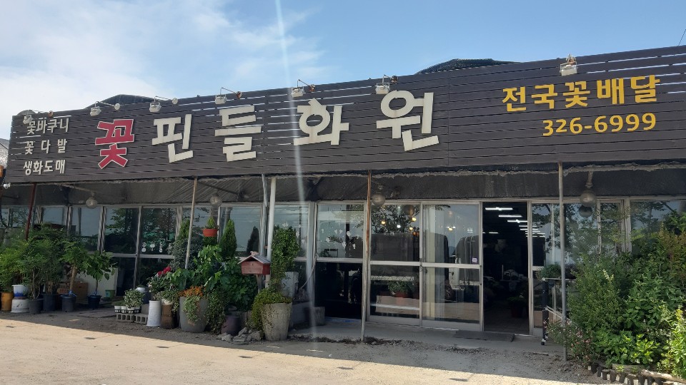 꽃핀들 이미지
