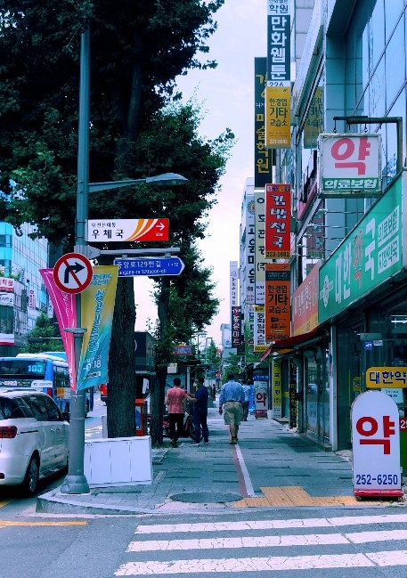 야호관광 이미지