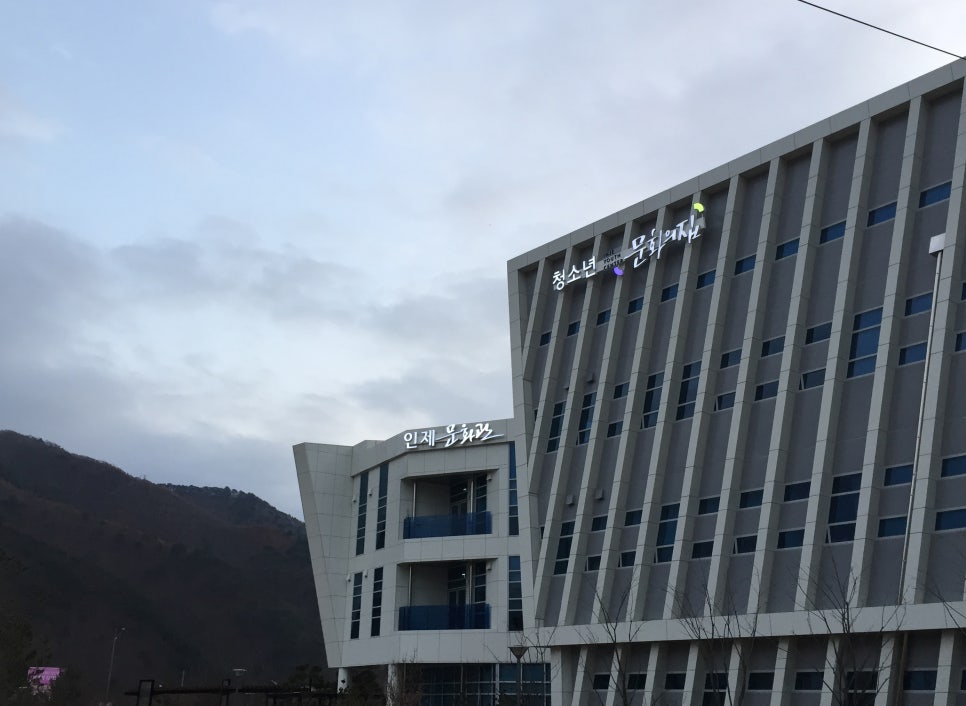 디자인 먹닮 이미지