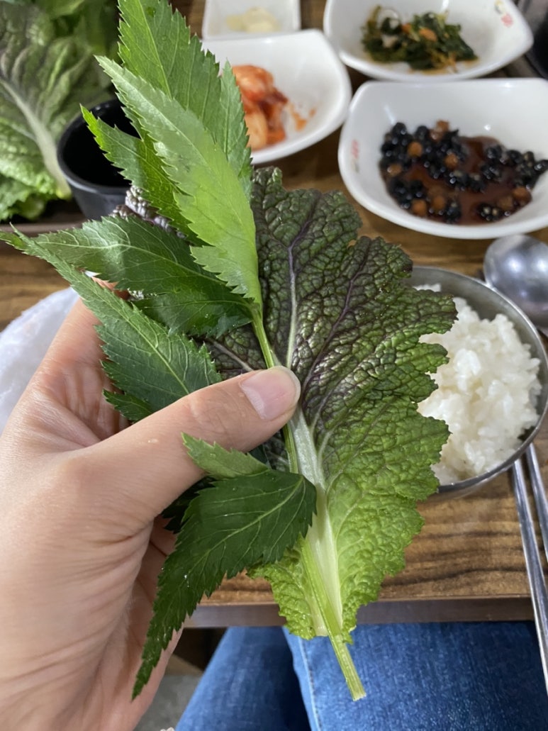 돼지복단지 이미지