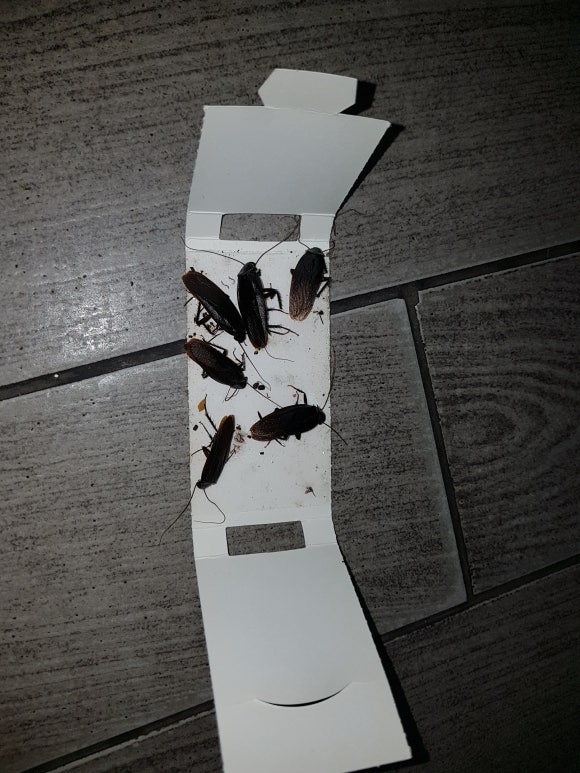 베스트방역 이미지