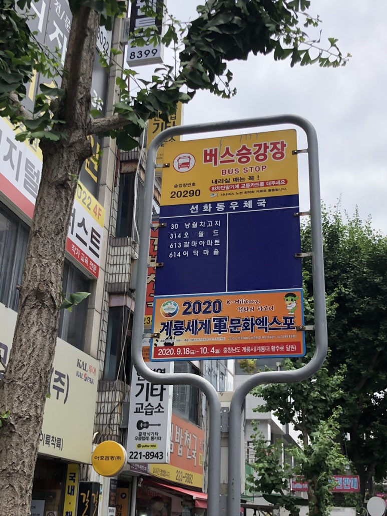 야호관광 이미지