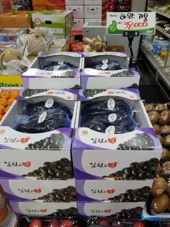 총각네수지 이미지