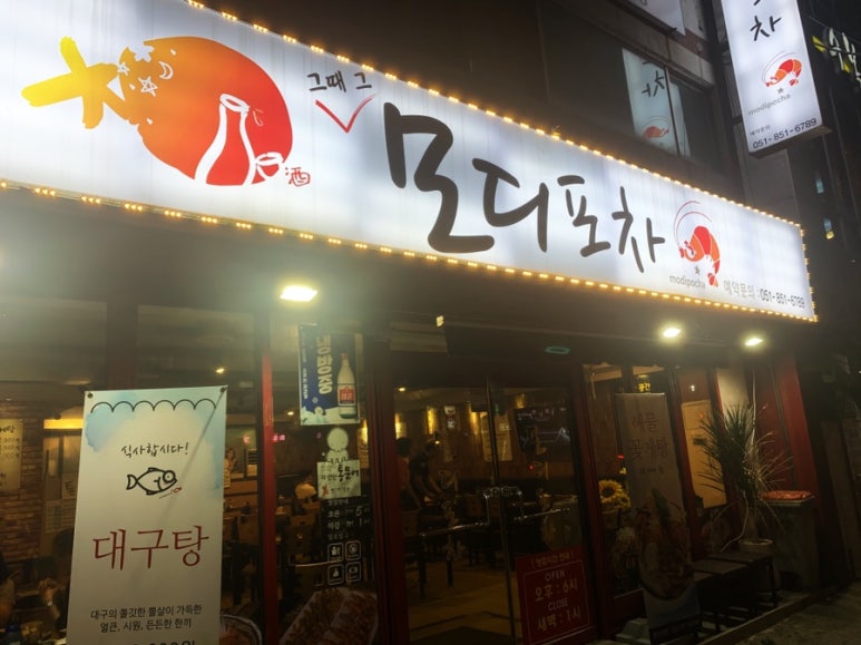 모디포차 이미지