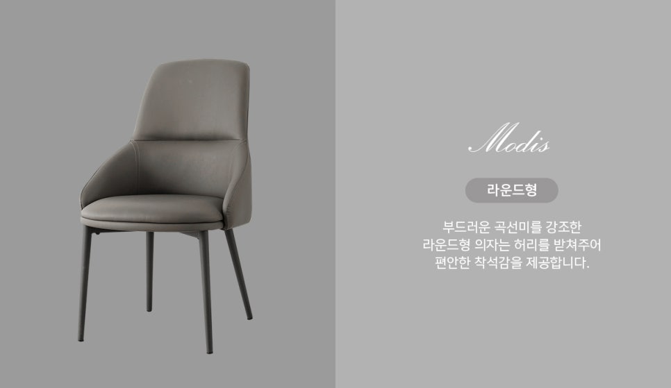 모디스 이미지