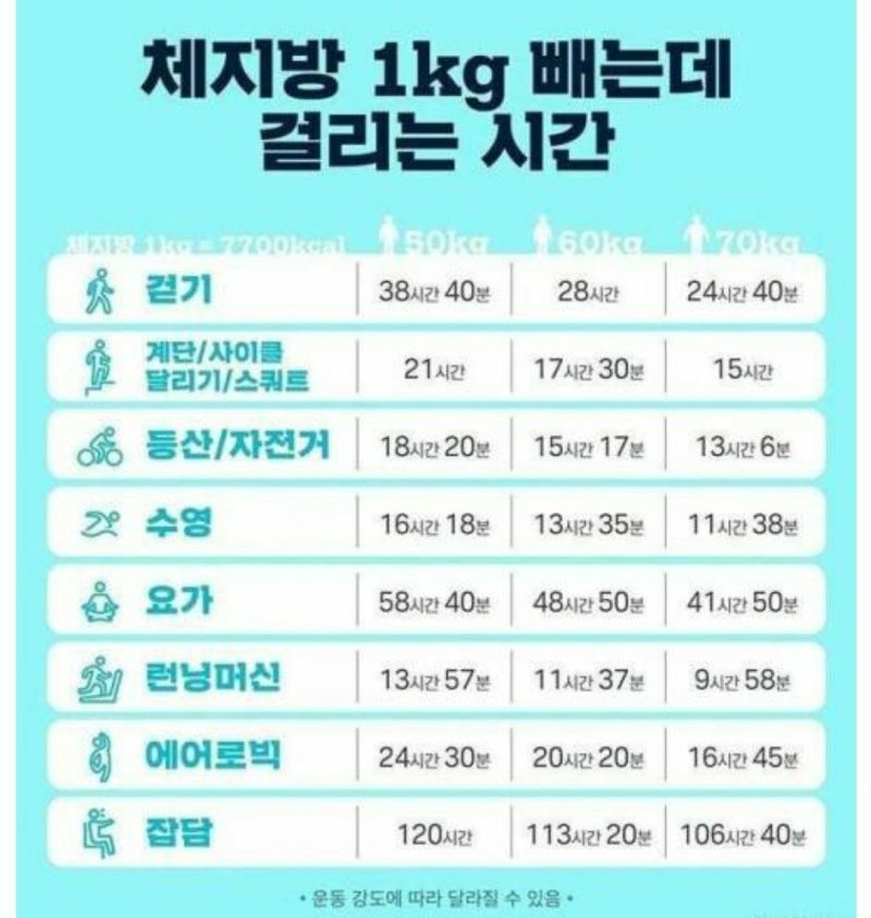 바이오포톤테라피 이미지