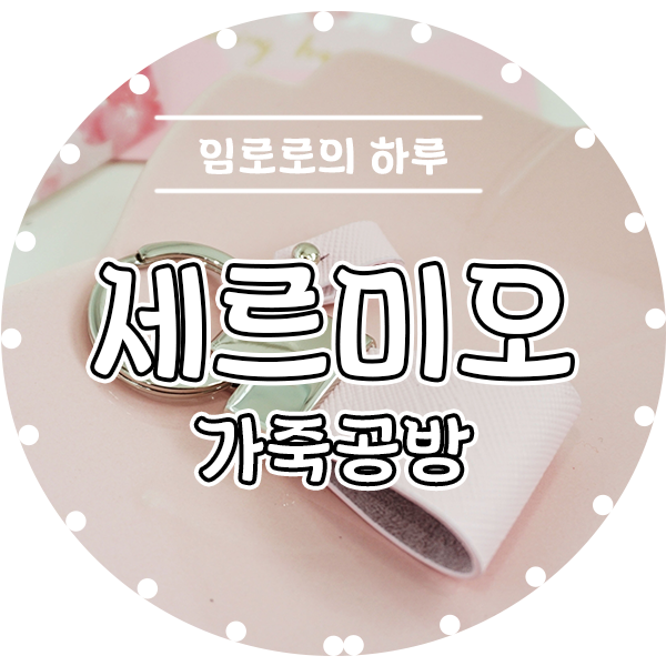 세르미오 이미지