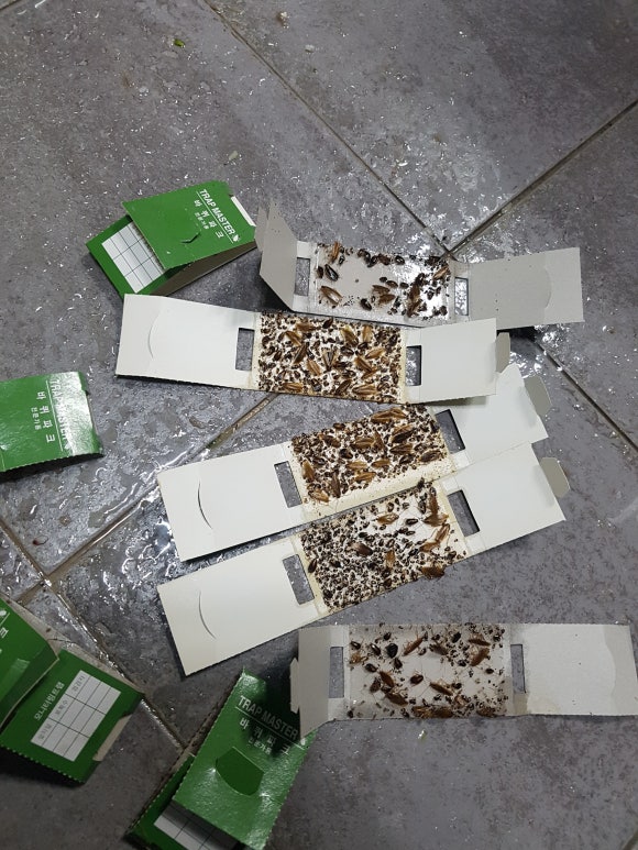 베스트환경 이미지