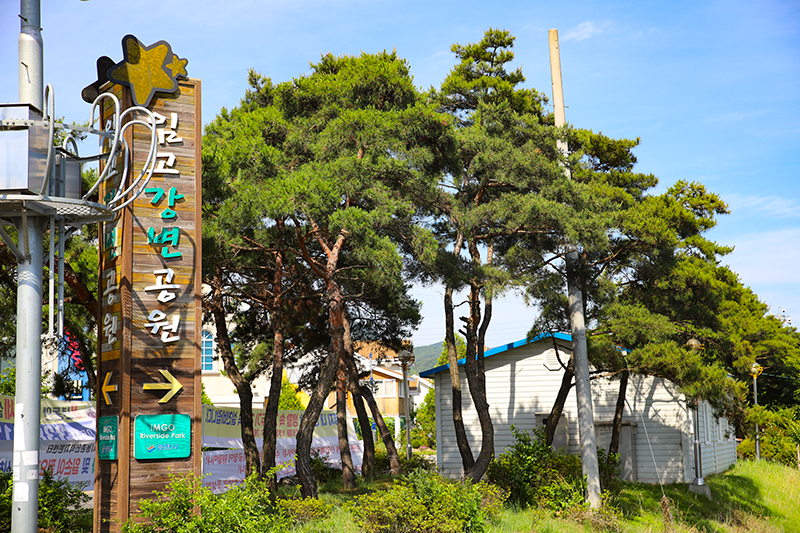 임고4 이미지