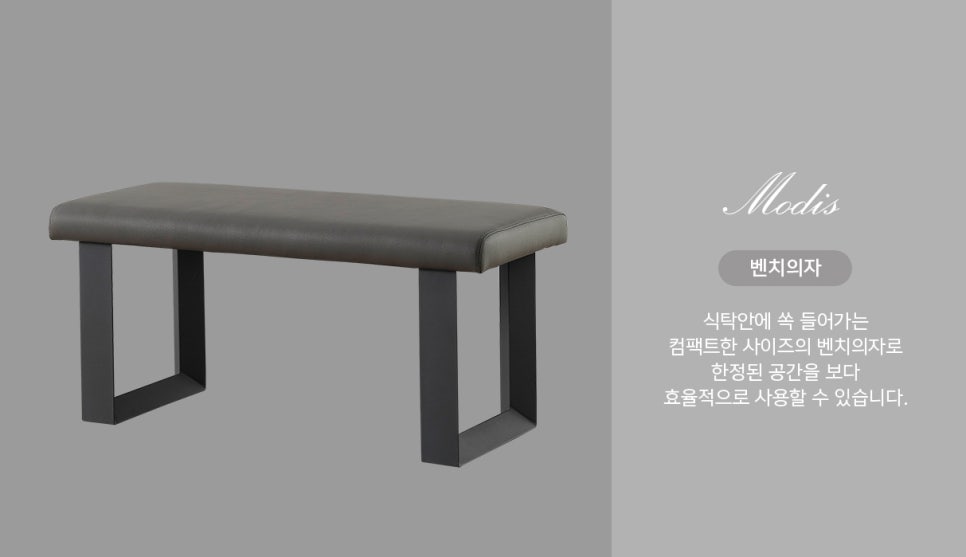 모디스 이미지
