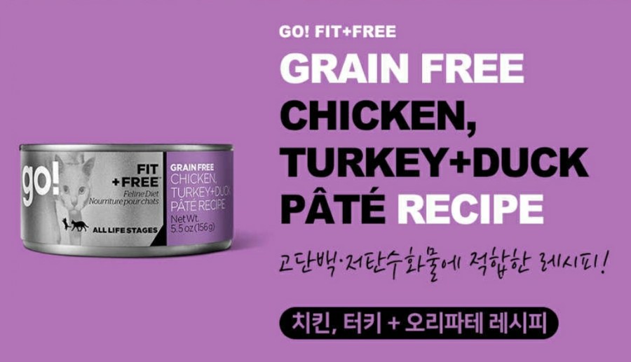 고스튜 이미지