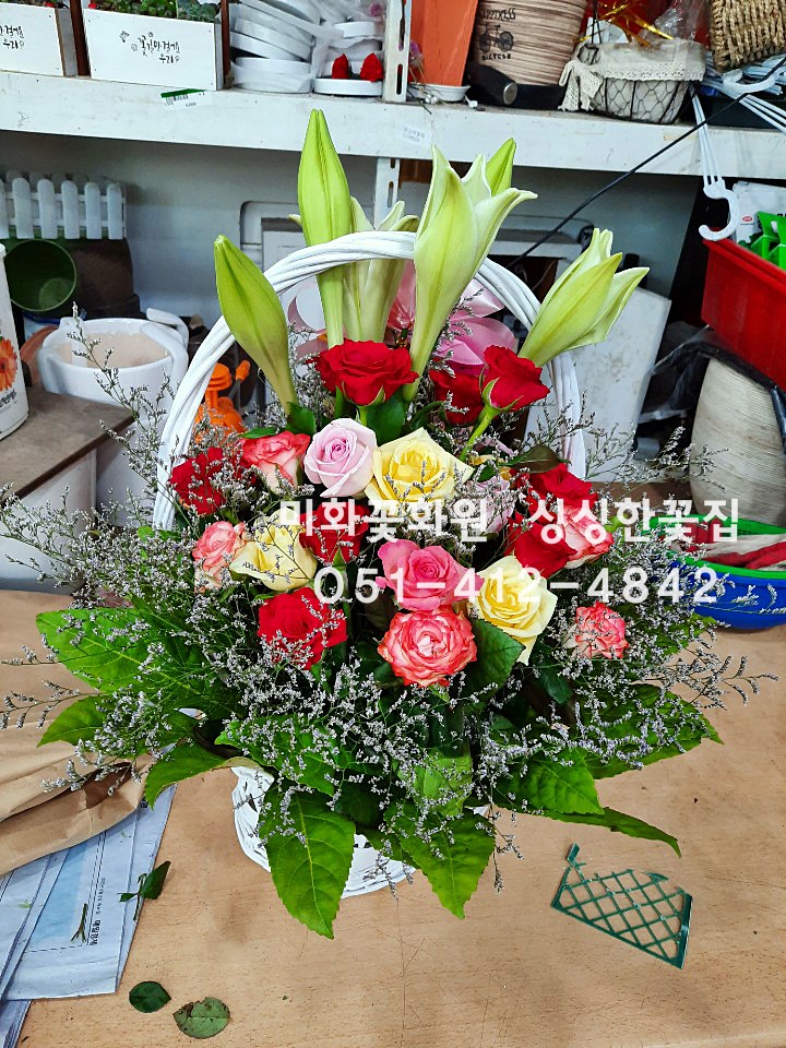 미화화원 이미지