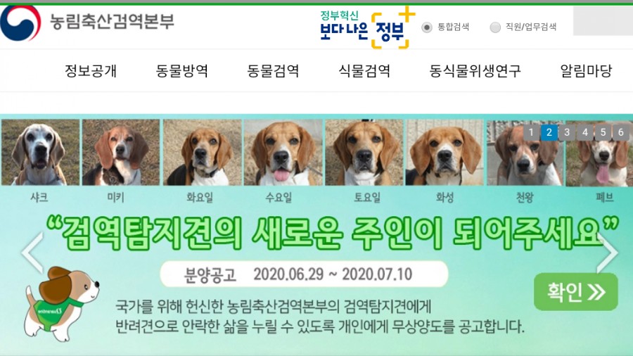 페브 이미지