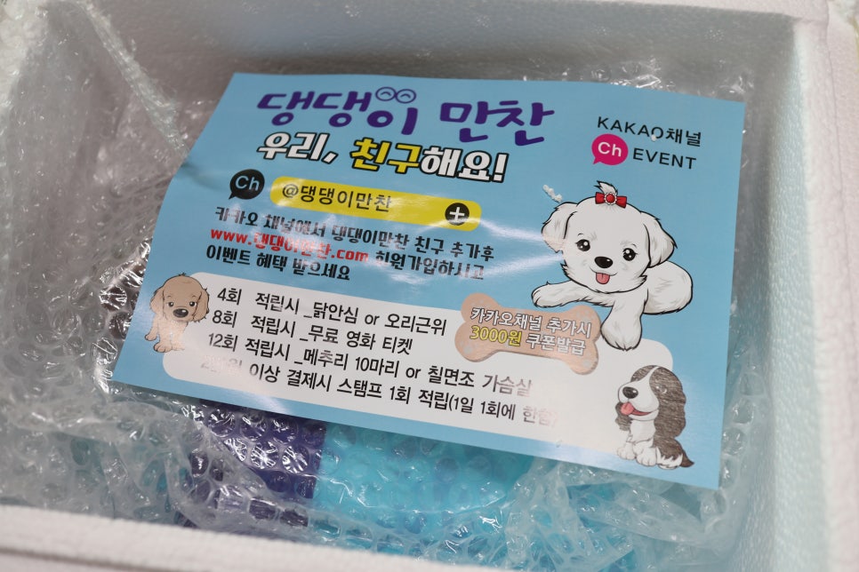 댕댕이 만찬 이미지