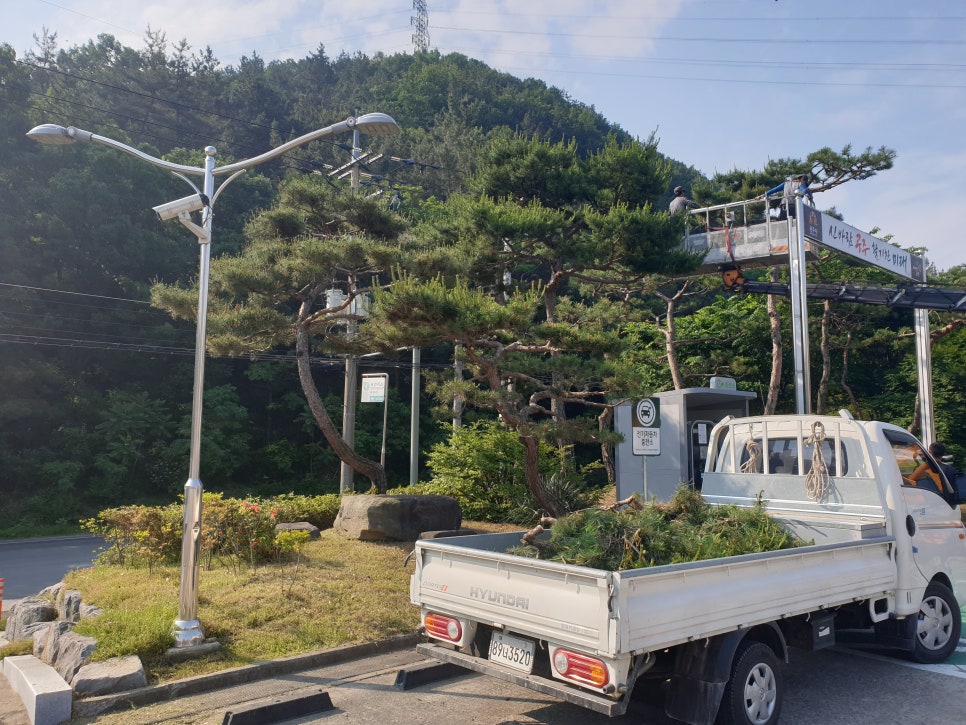 아리랑조경 이미지