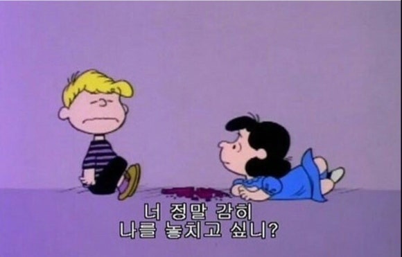 빵톡 이미지