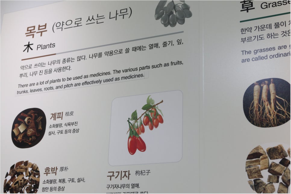 어진한의원 이미지