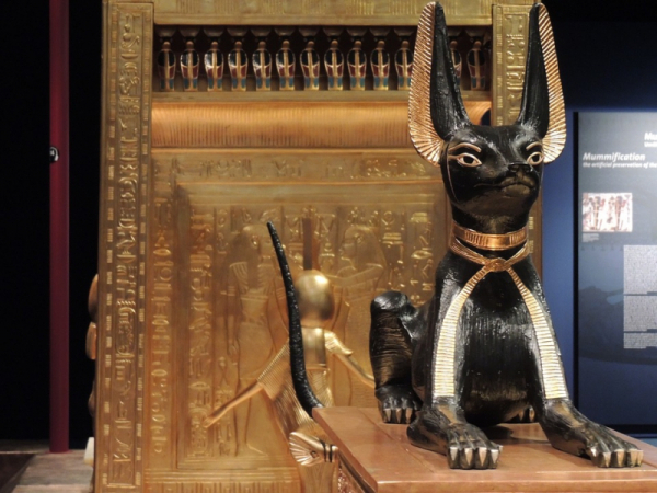 바스테트(Bastet) 이미지