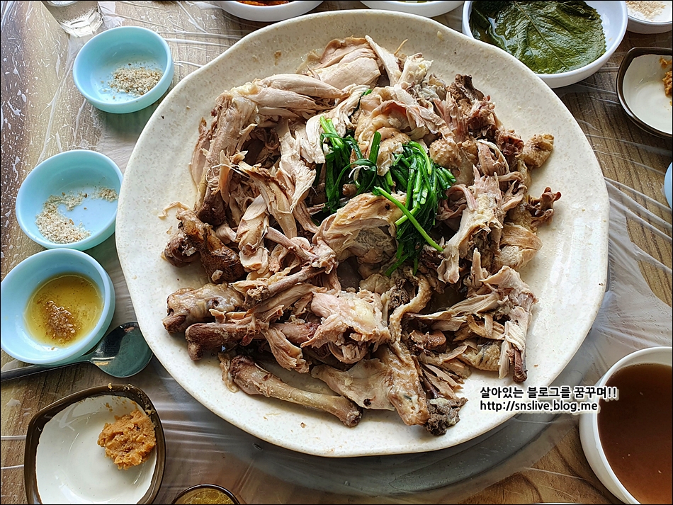 황칠 돼지한마리 이미지