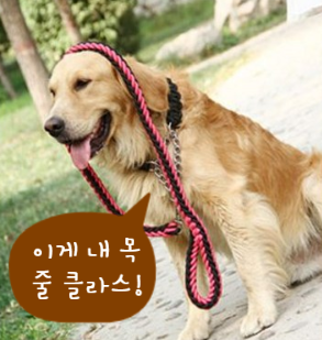 에이치텍 이미지