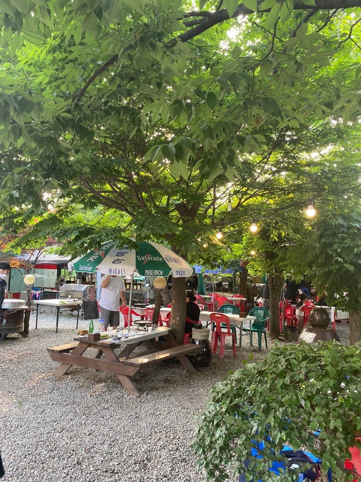 로뎀나무펜션 이미지