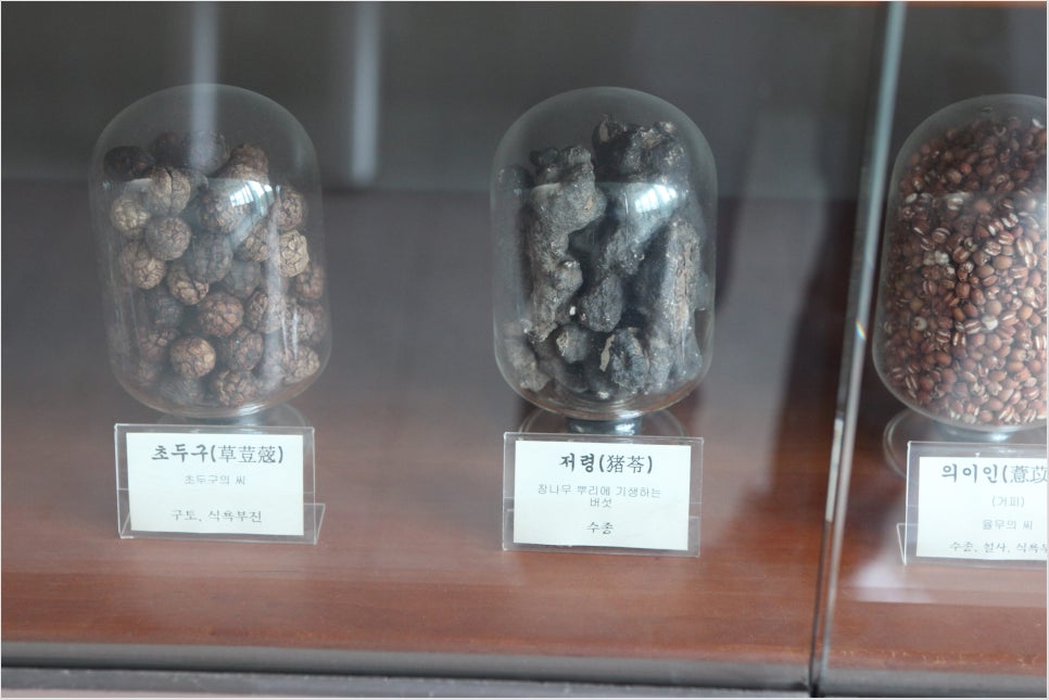 어진한의원 이미지