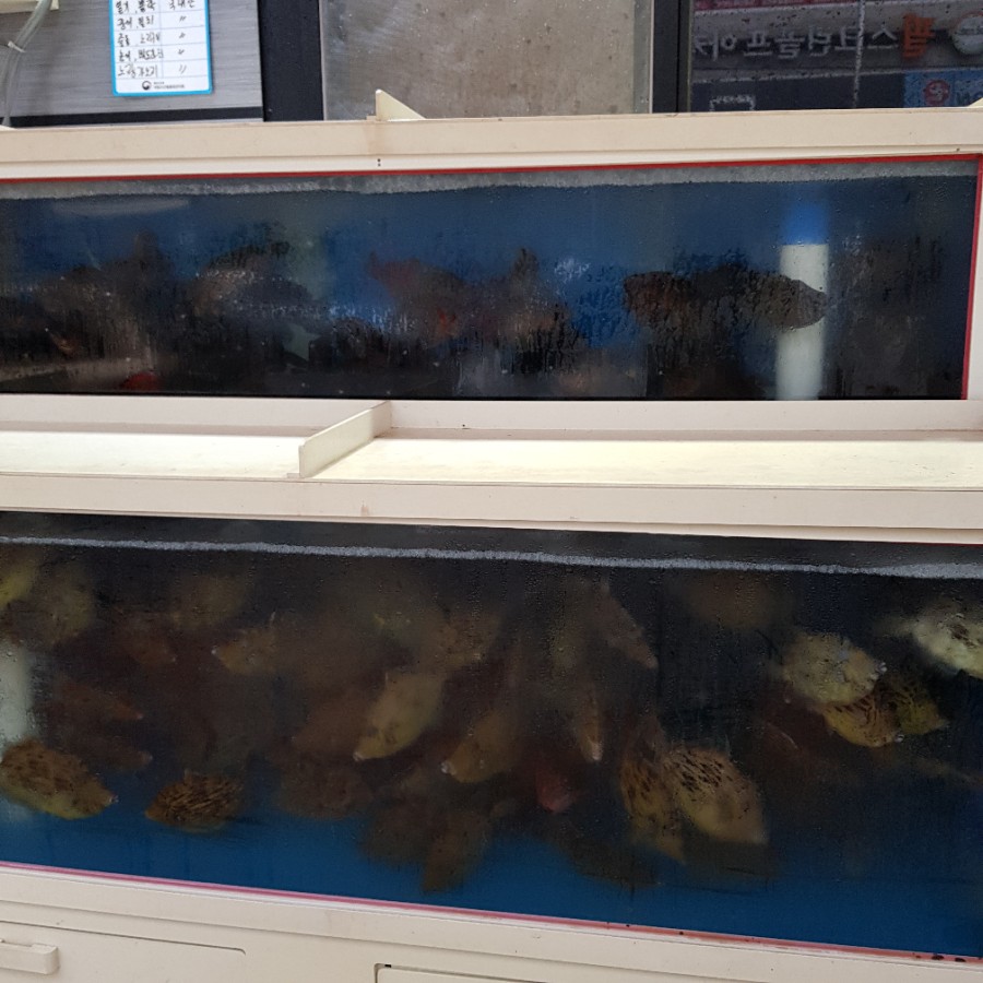 서가수산 이미지
