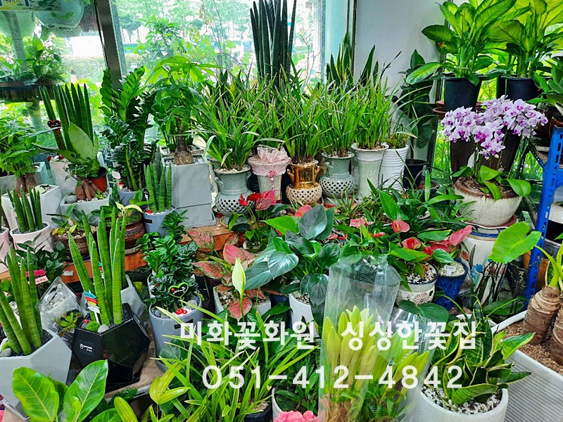 미화화원 이미지