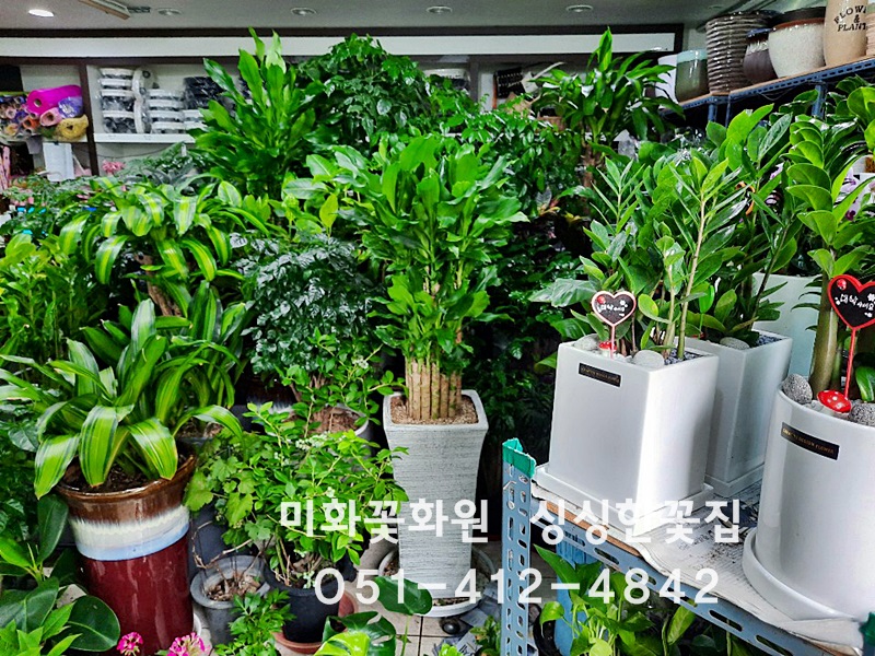 미화화원 이미지