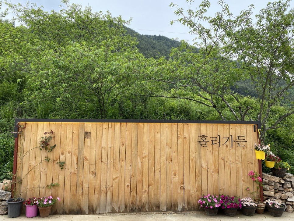 카페홀리 이미지