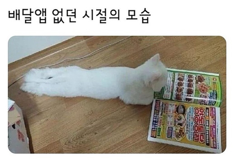 싸움의고수 이미지