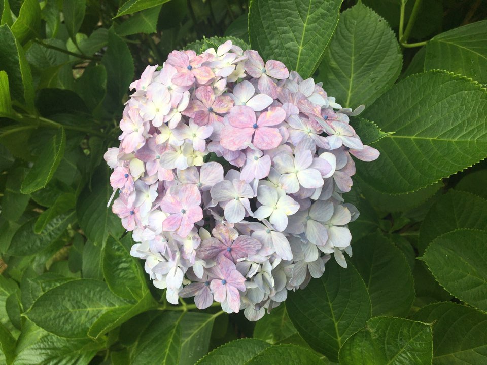 한라수산 이미지