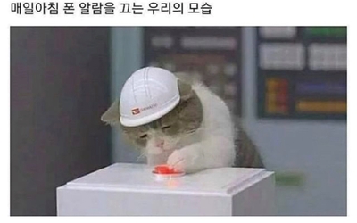 조선곱창 이미지