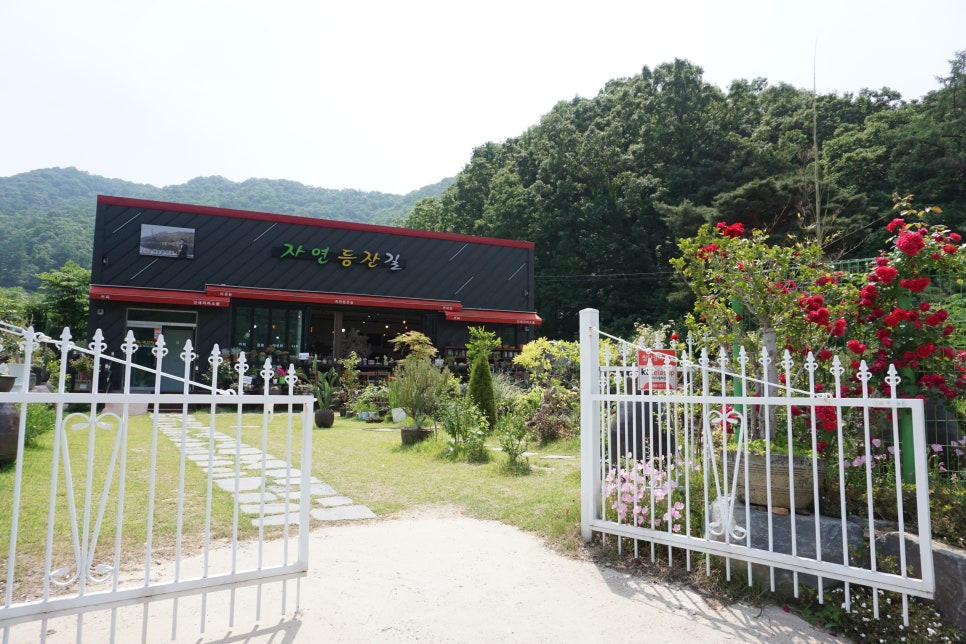 자연등잔길 이미지