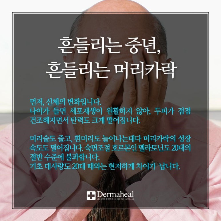 엠지에프두피탈모전문센터 이미지