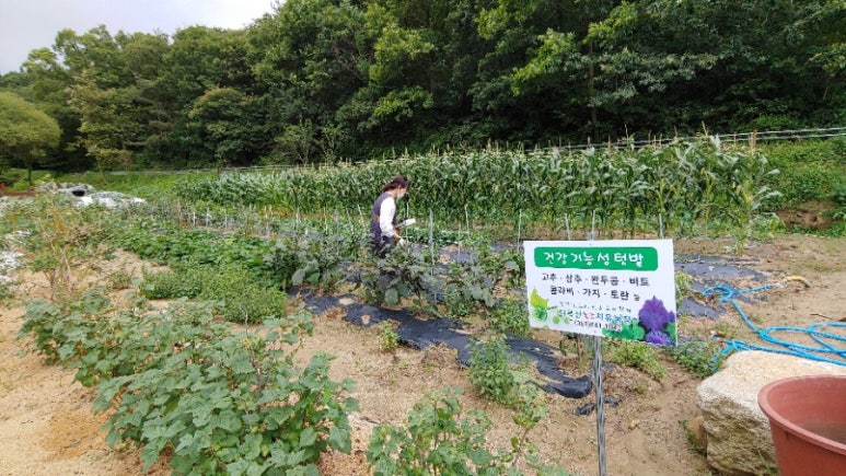 늘품원예 이미지