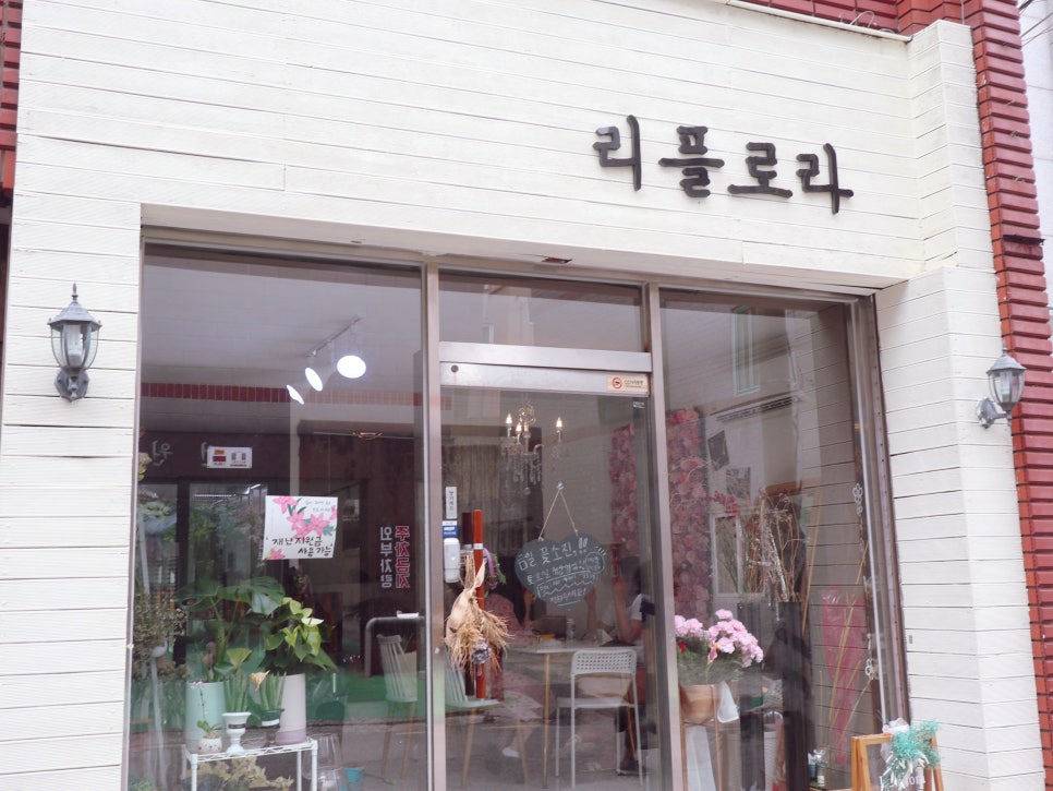 리플로라 이미지