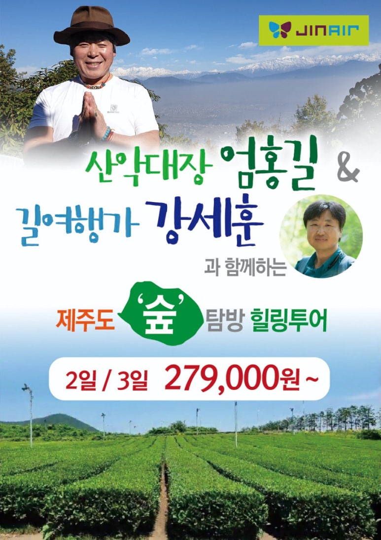 엠에스투어 이미지