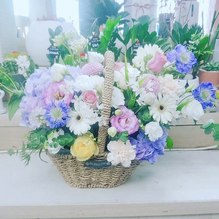영보꽃방 이미지