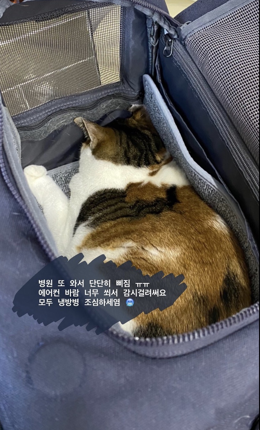별난탕후루 이미지