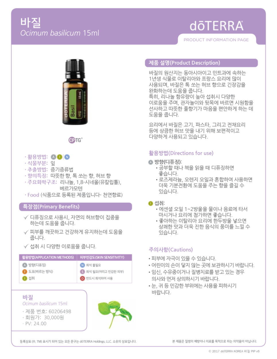 바질살롱 이미지
