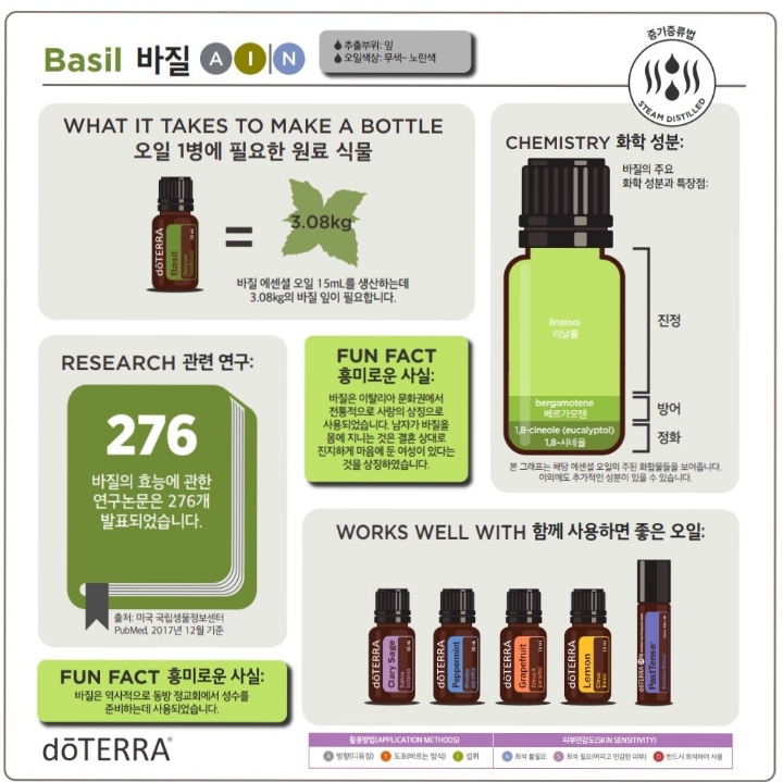 바질살롱 이미지