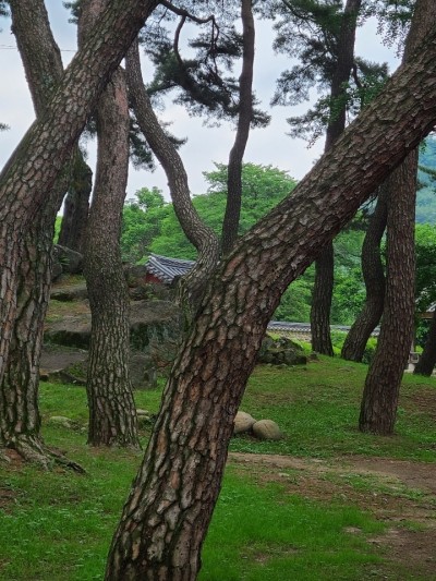 태서초등학교 이미지